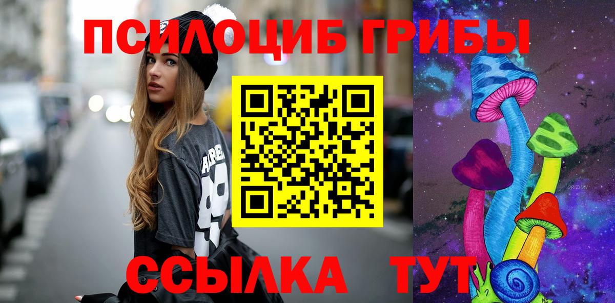 Псилоцибиновые грибы Cubensis Вичуга